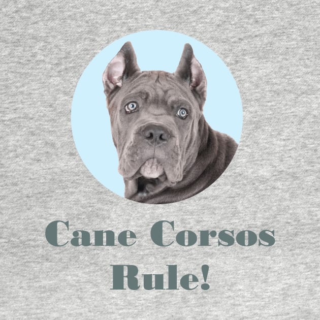 Cane Corsos Rule! by Naves